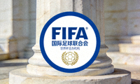 国际足球联合会 FIFA 官方标志 - 世界杯主办机构